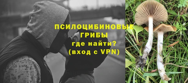 ПСИЛОЦИБИНОВЫЕ ГРИБЫ Дедовск