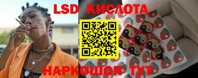 индика Дубна