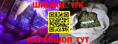 индика Дубна
