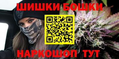 индика Дубна