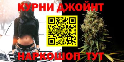 индика Дубна
