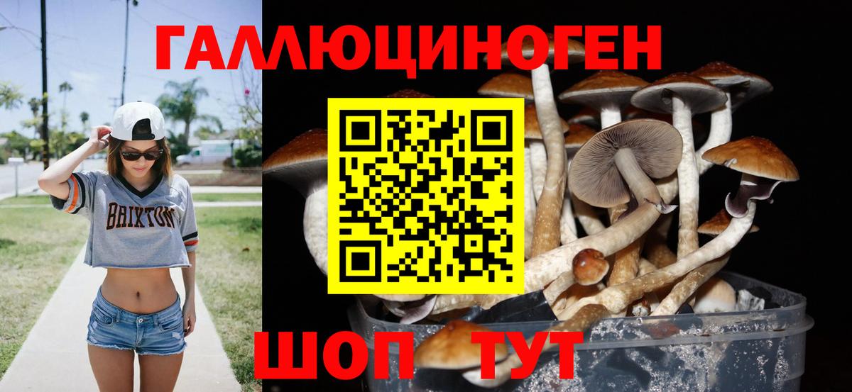 Псилоцибиновые грибы Psilocybe  Галлюциногенные грибы Psilocybe  Вход с VPN  Мичуринск 